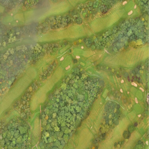 golf course map