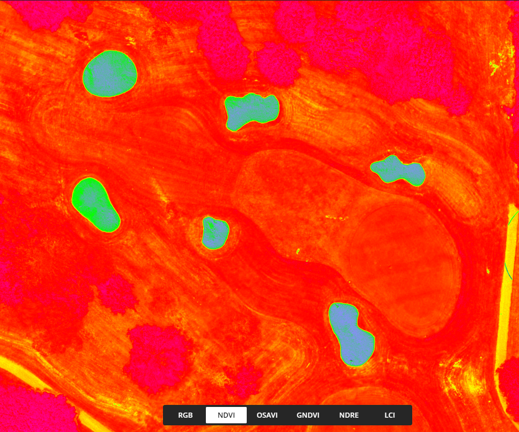 Multispectral Plant Health