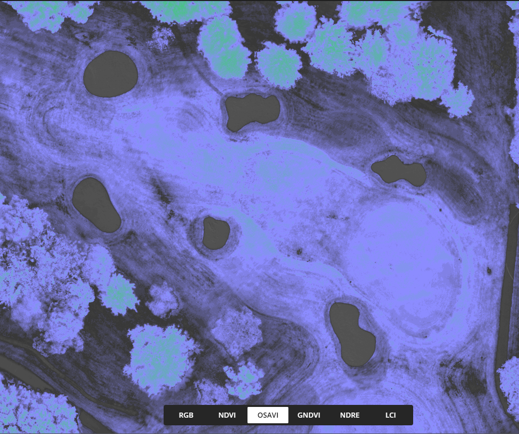 Multispectral Plant Health