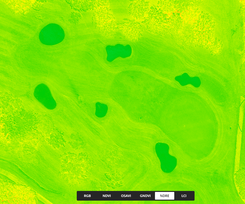 Multispectral Plant Health