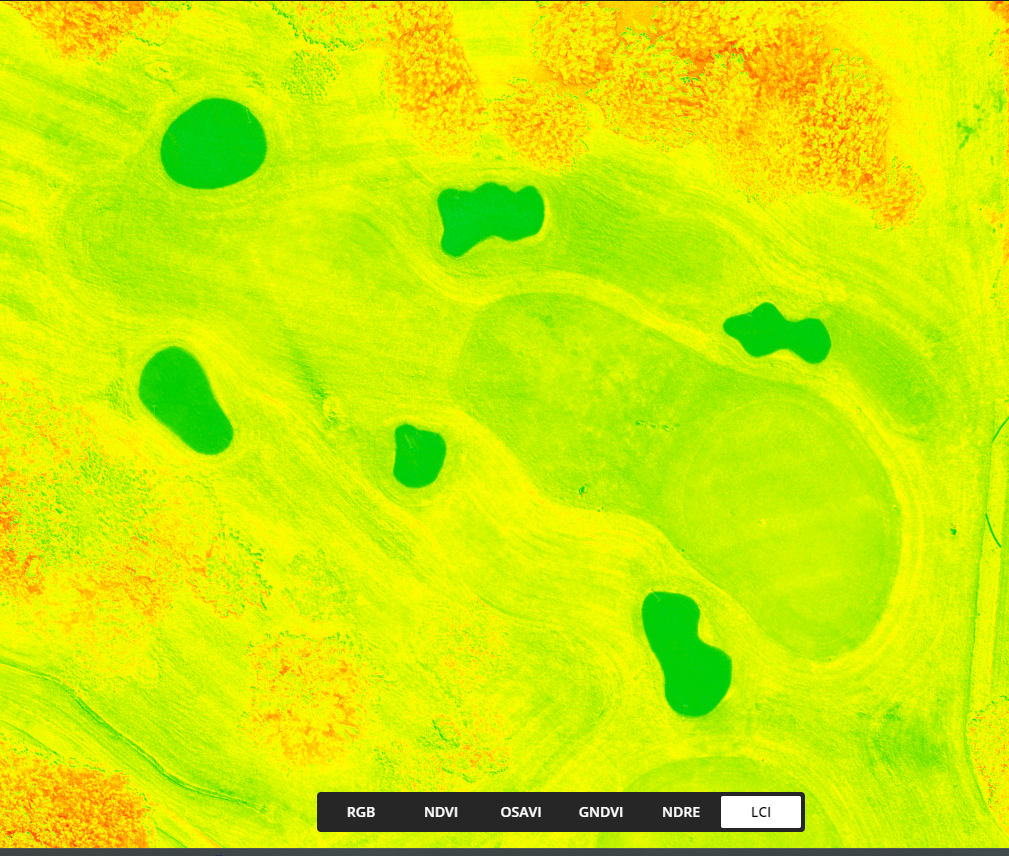 Multispectral Plant Health