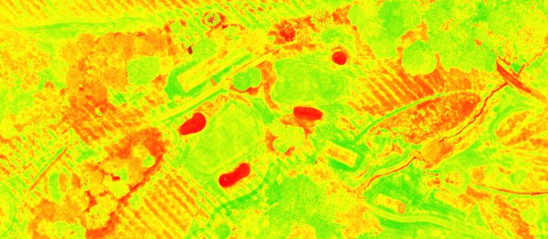 Multispectral image of a golf green